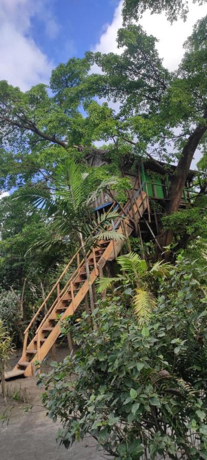 Lenkuru Tanna Volcano View Tree House מראה חיצוני תמונה